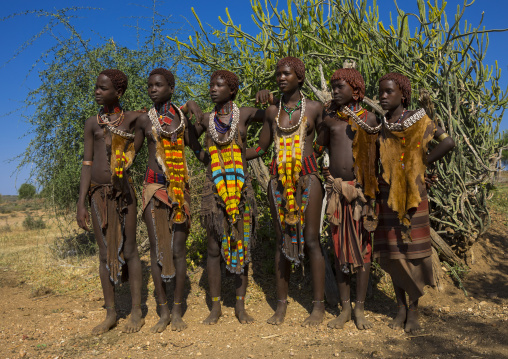 Girls Of The Hamer Tribe, In Traditional Outfit, Turmi, Ethiopia