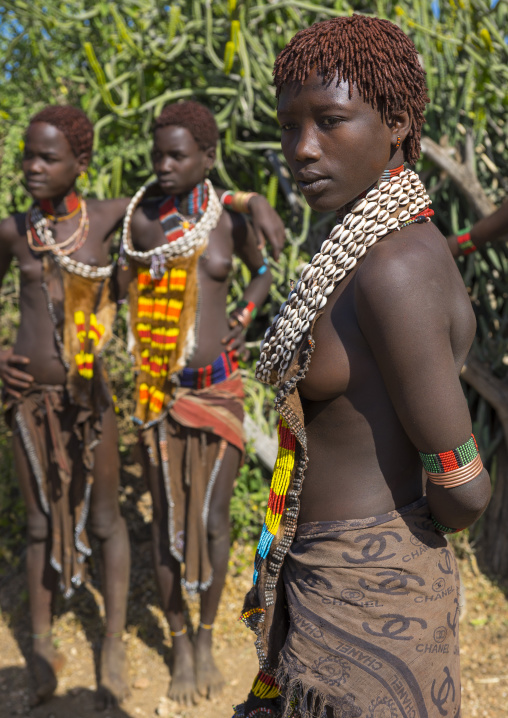 Girls Of The Hamer Tribe, In Traditional Outfit, Turmi, Ethiopia