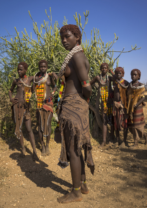 Girls Of The Hamer Tribe, In Traditional Outfit, Turmi, Ethiopia