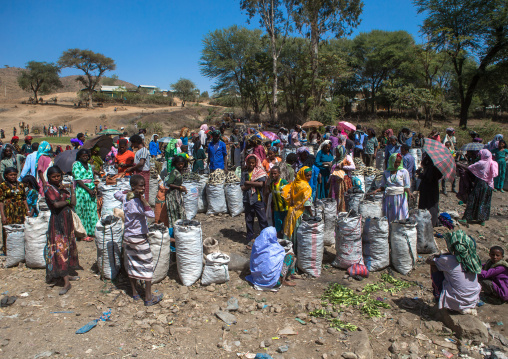 Merchants selling sacks of charcoal, Oromo, Sambate, Ethiopia