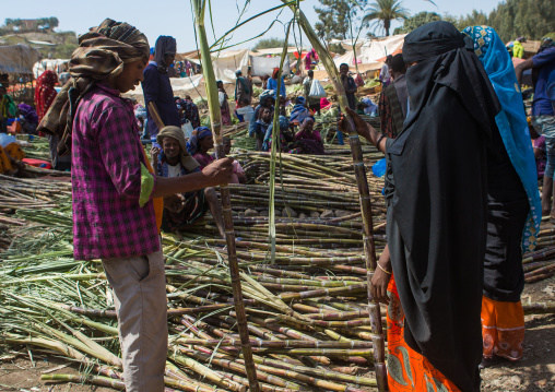 Women in burqa on a market buying sugarcanes, Oromo, Sambate, Ethiopia