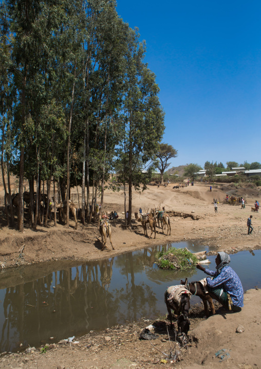People in front of a waterhole in the market, Oromo, Sambate, Ethiopia