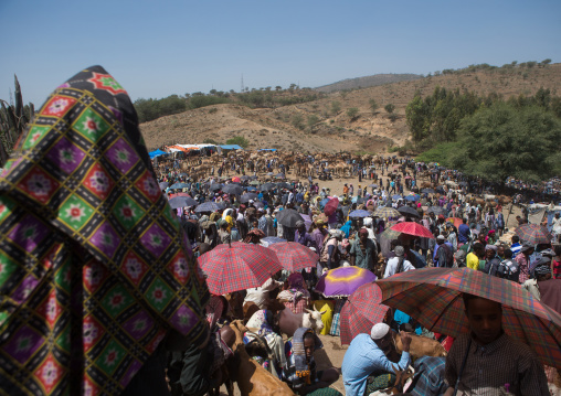 Crowded and busy market under the sun, Oromo, Sambate, Ethiopia