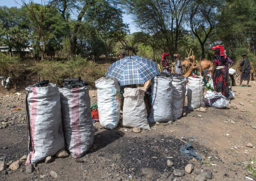 Merchants selling sacks of charcoal on a market, Oromo, Sambate, Ethiopia