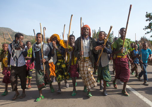 Oromo men with canes dancing during a wedding celebration, Oromo, Sambate, Ethiopia