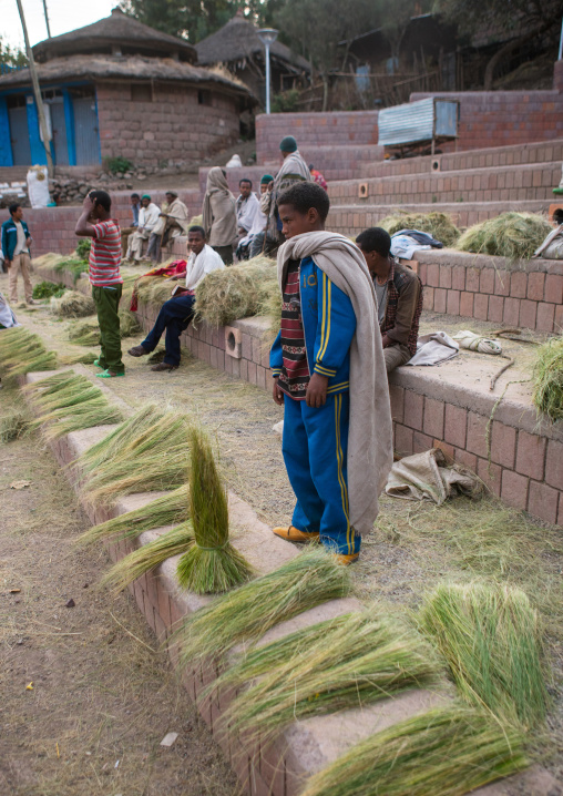 Ethiopian selling grass for kidane mehret orthodox celebration, Amhara region, Lalibela, Ethiopia