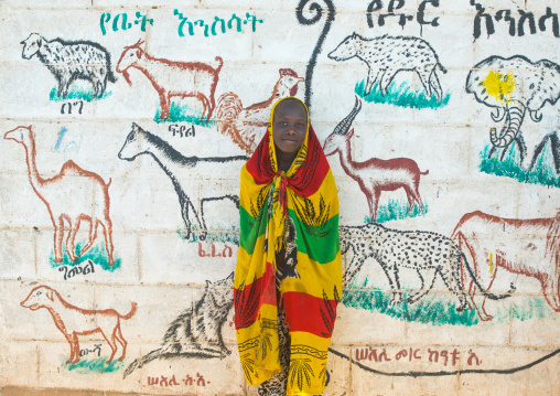 Nyangatom tribe boy wrapped in a multi colored scarf in front of a school mural, Omo valley, Kangate, Ethiopia