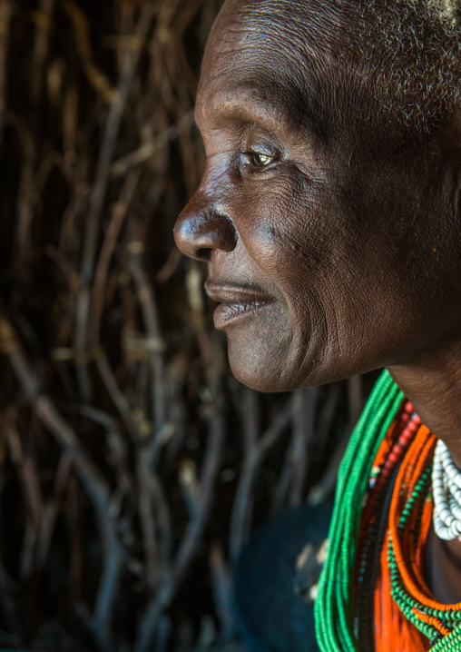 Toposa tribe woman profile, Omo valley, Kangate, Ethiopia