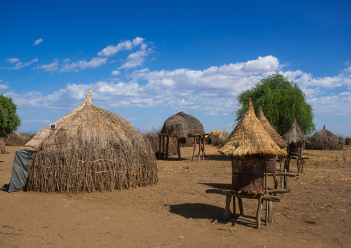 Traditional granaries and huts in nyangatom and toposa tribes village, Omo valley, Kangate, Ethiopia