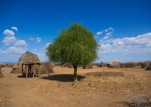 Traditional granary and huts in nyangatom and toposa tribes village, Omo valley, Kangate, Ethiopia