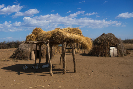 Traditional nyangatom and toposa tribes village, Omo valley, Kangate, Ethiopia