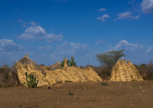Straws to build the roofs in traditional nyangatom and toposa tribes village, Omo valley, Kangate, Ethiopia