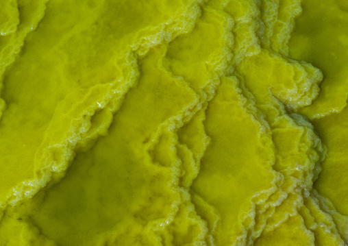 The colorful potassium salt crust formed by brine hot springs in the danakil depression, Afar region, Dallol, Ethiopia