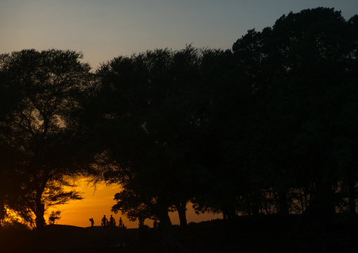 Silhouettes of dassanech tribe people under big trees, Omo valley, Omorate, Ethiopia