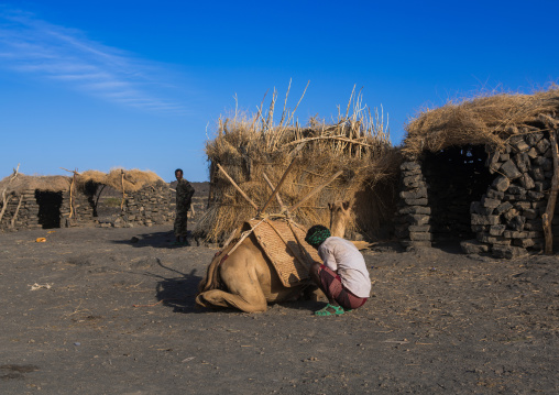 Afar tribe men loading a camel in front of a hut before climbing to erta ale, Afar region, Erta ale, Ethiopia