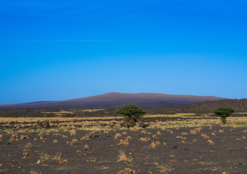 Erta ale volcano seen from the plain, Afar region, Erta ale, Ethiopia