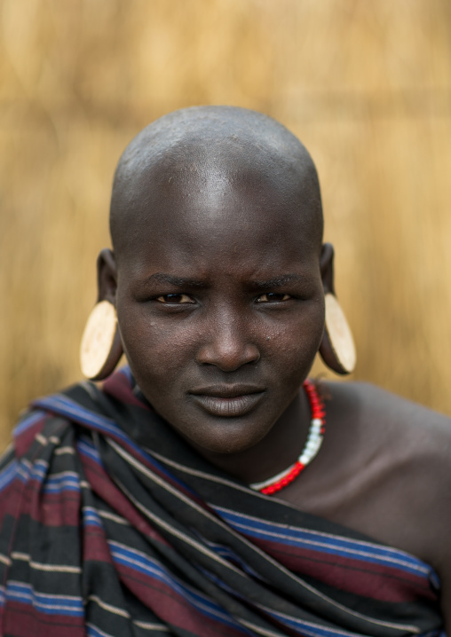 Mursi tribe woman with enlarged earlobes, Omo valley, Mago park, Ethiopia
