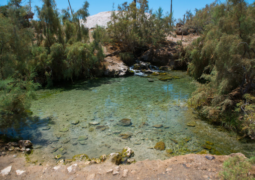 Hot spring with green water, Afar region, Afdera, Ethiopia