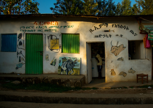 Veterinary shop with animals paintaings on its walls, Omo valley, Jinka, Ethiopia