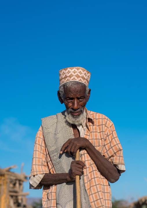 Portrait of an afar tribe elder, Afar region, Afambo, Ethiopia