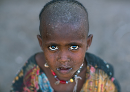 Portrait of a shaved afar tribe girl, Afar region, Afambo, Ethiopia