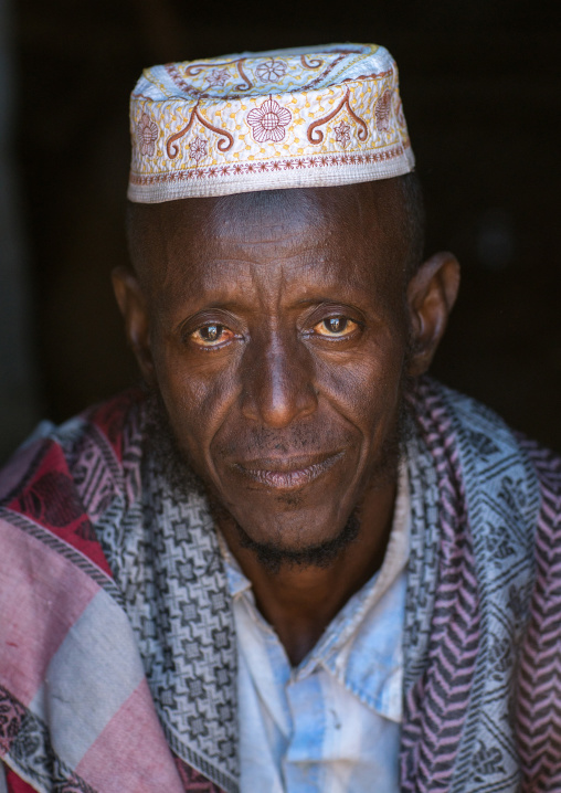 Portrait of an afar tribe elder, Afar region, Assayta, Ethiopia