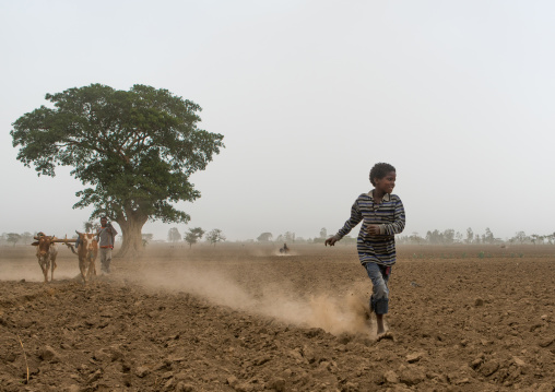 Boy running in a dry field, Kembata, Alaba kuito, Ethiopia
