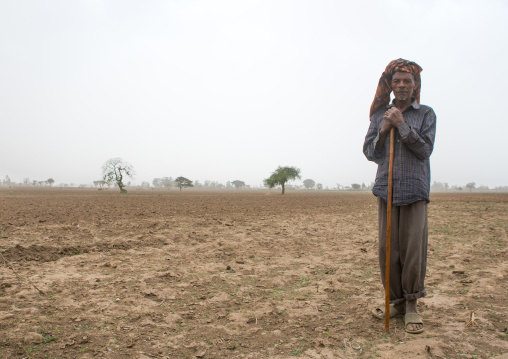 Ethiopian farmer man in his field, Kembata, Alaba kuito, Ethiopia