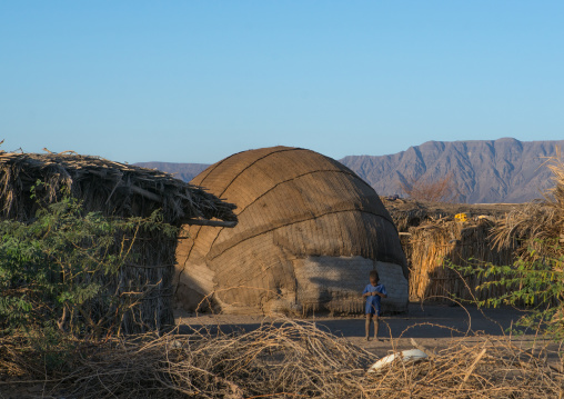 Traditional afar tribe village with oval-shaped huts, Afar region, Afambo, Ethiopia
