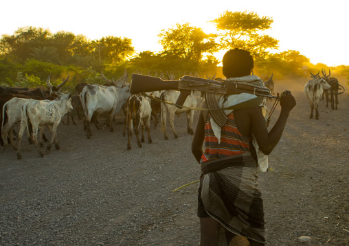 Afar tribe herder with a kalshnikov looking for his cows, Afar region, Afambo, Ethiopia