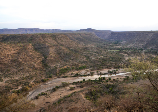 Awash river in the national park, Afar region, Awash, Ethiopia