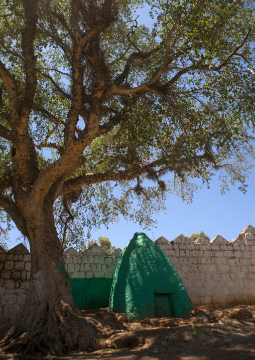 Green old tomb of a muslim saint, Harari region, Harar, Ethiopia