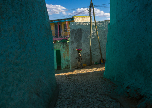 Woman in the streets of the old town, Harari region, Harar, Ethiopia