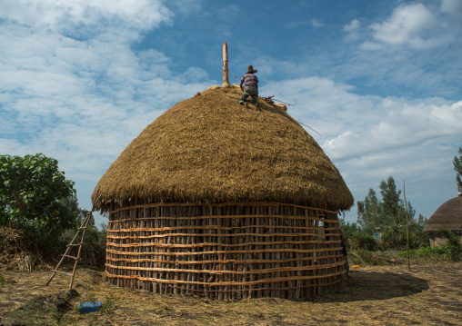 Man covers the thatched roof of a traditional ethiopian house, Kembata, Alaba kuito, Ethiopia