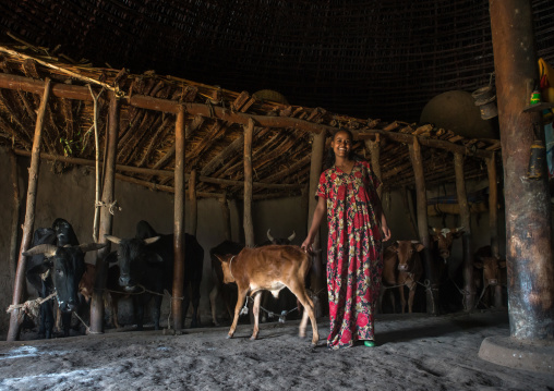 Ethiopia, Kembata, Alaba Kuito, ethiopian woman inside her traditional painted and decorated house with cows