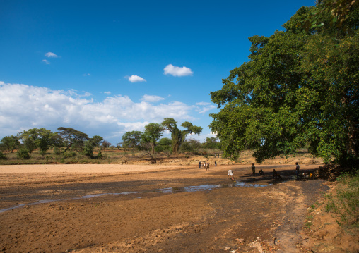 People digging in a dry river to find water, Omo valley, Turmi, Ethiopia