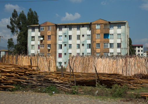 Wood yards in front of new apartments blocks, Addis abeba region, Addis ababa, Ethiopia