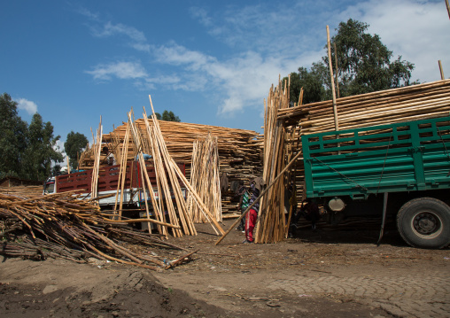 Wood yards loaded in a truck, Addis abeba region, Addis ababa, Ethiopia