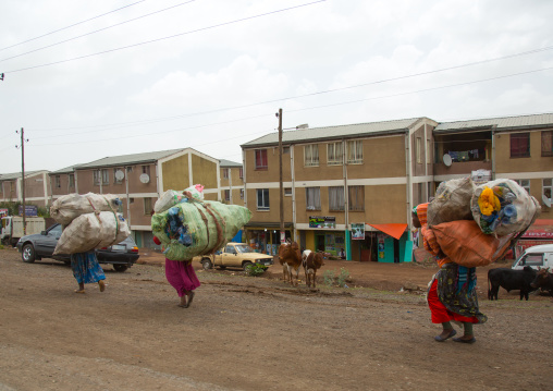 Ethiopian women carry heavy furnitures on their backs in front of new apartments blocks, Addis abeba region, Addis ababa, Ethiopia