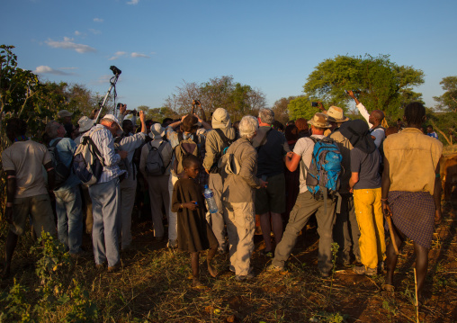 Group of tourists taking pictures of a bull jumping in hamer tribe, Omo valley, Turmi, Ethiopia