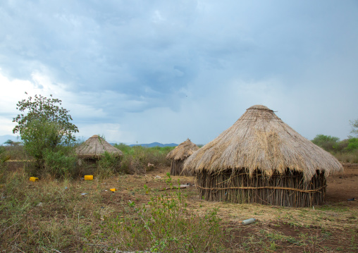 Thatch hut in a bodi tribe village, Omo valley, Hana mursi, Ethiopia