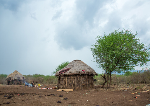 Thatch huts in a bodi tribe village, Omo valley, Hana mursi, Ethiopia