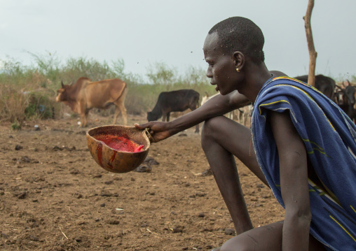 Bodi tribe man drinking cow blood, Omo valley, Hana mursi, Ethiopia