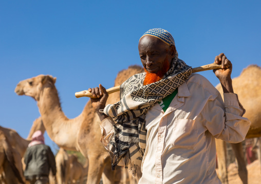 Man with a red beard in the camel market, Oromia, Babile, Ethiopia