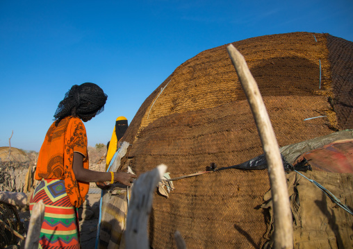 Afar tribe women building a hut, Afar region, Mile, Ethiopia