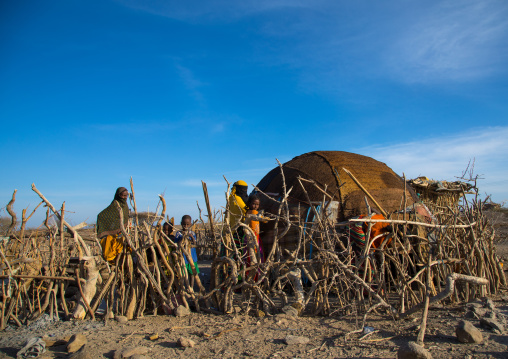 Afar tribe women building a hut behind a wooden fence, Afar region, Mile, Ethiopia
