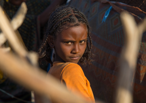 Portrait of an Afar tribe girl with braided hair, Afar region, Mile, Ethiopia