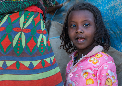 Portrait of an Afar tribe girl with braided hair, Afar region, Mile, Ethiopia