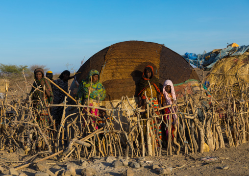 Afar tribe women behind a wooden fence in front of their hut, Afar region, Mile, Ethiopia