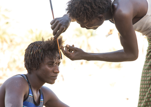 Afar man having a traditional hairstyle with a stick to make curly hair, Afar region, Afambo, Ethiopia